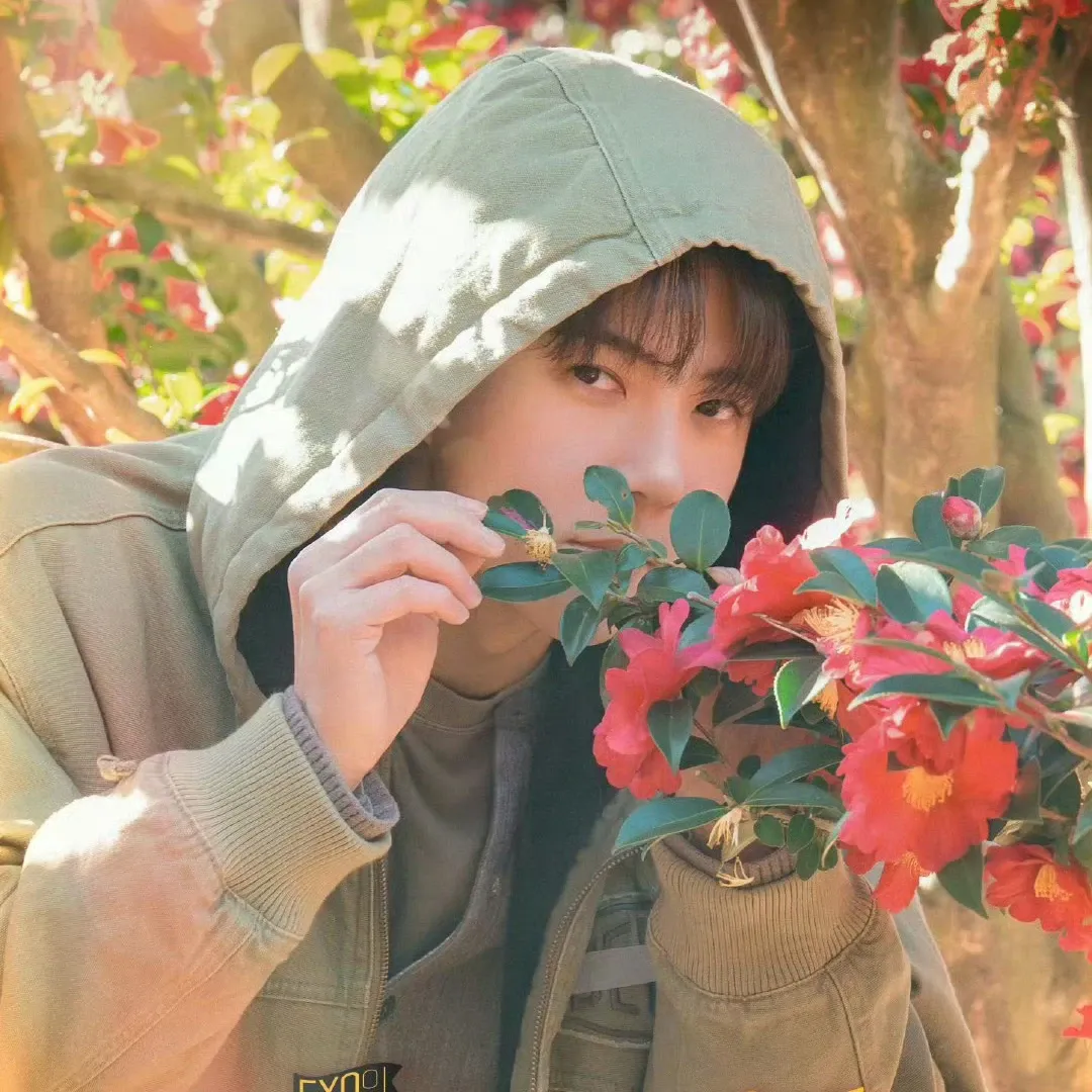 Recent activity shot of EXO