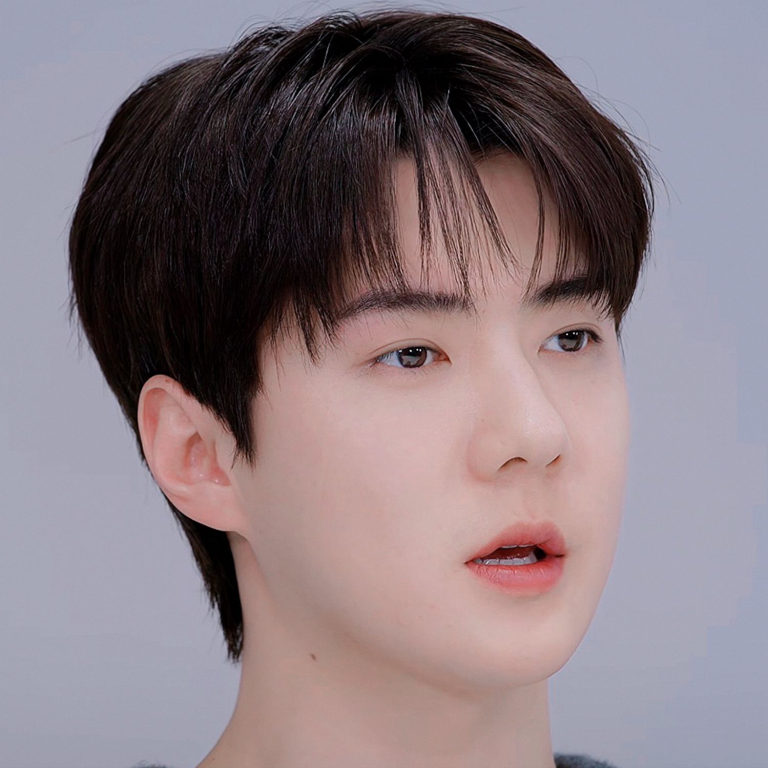 世勳 (EXO)的最新照片