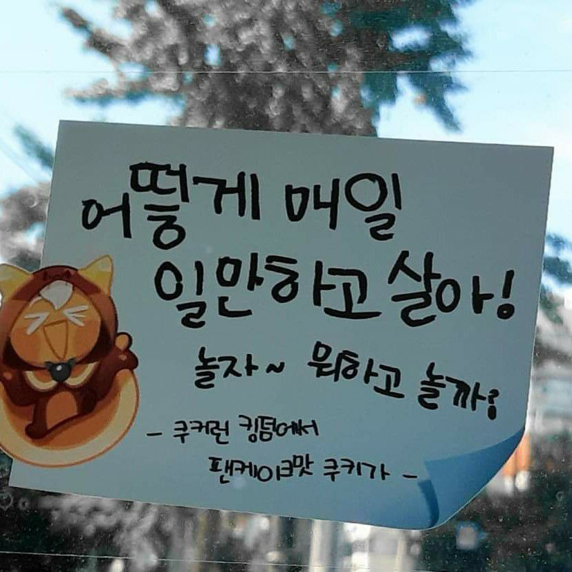 A moment captured by Chung Sanghyeon (ALPHA DRIVE ONE)'s fan