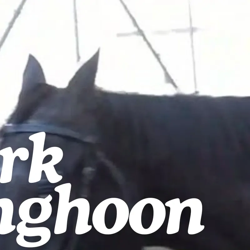 Behind-the-scenes cut of Sunghoon (ENHYPEN)