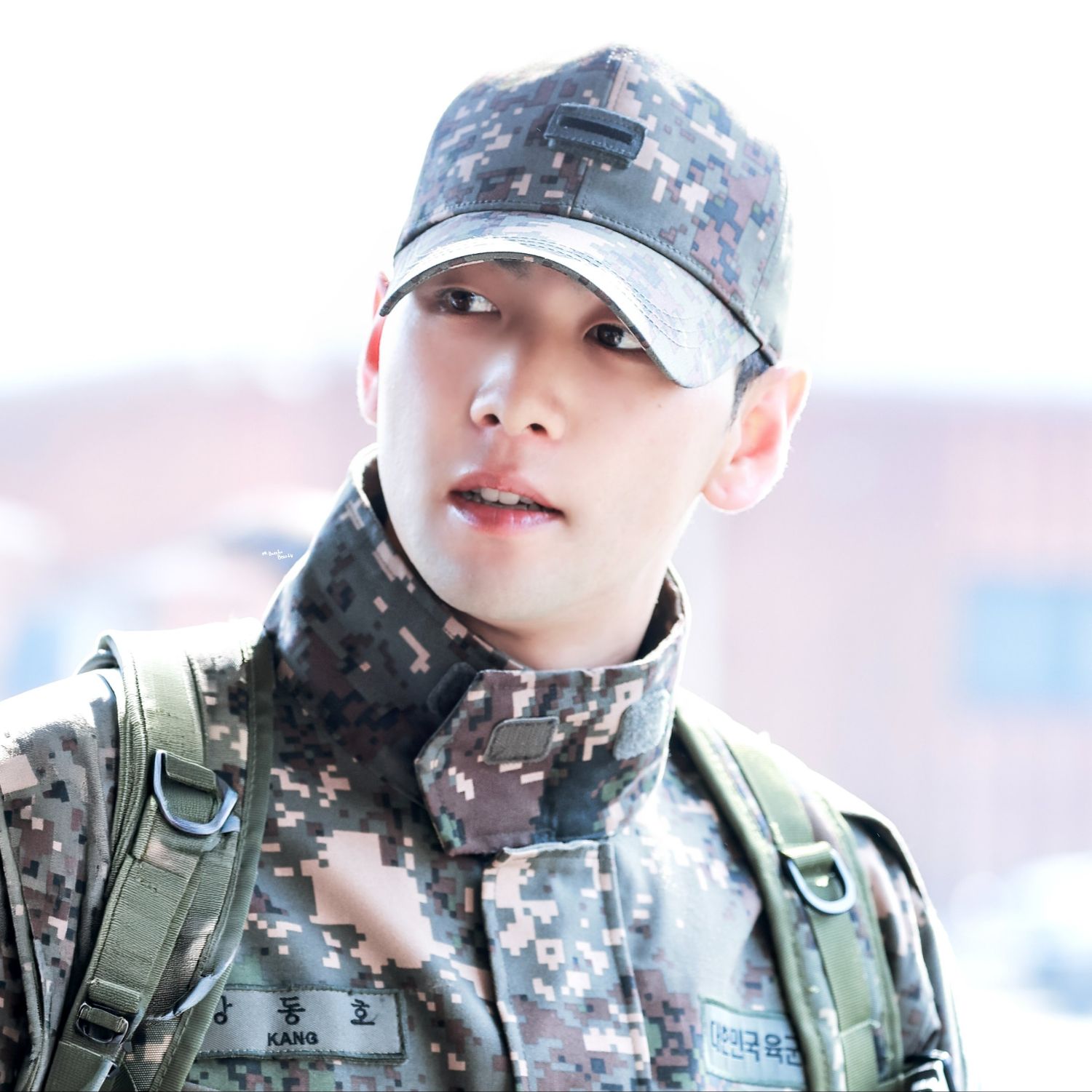 Recent activity shot of Baekho