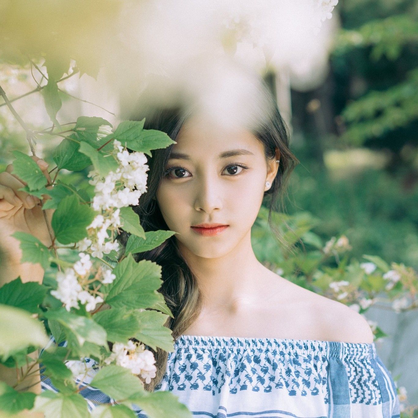 쯔위 (TWICE) 최근 활동샷