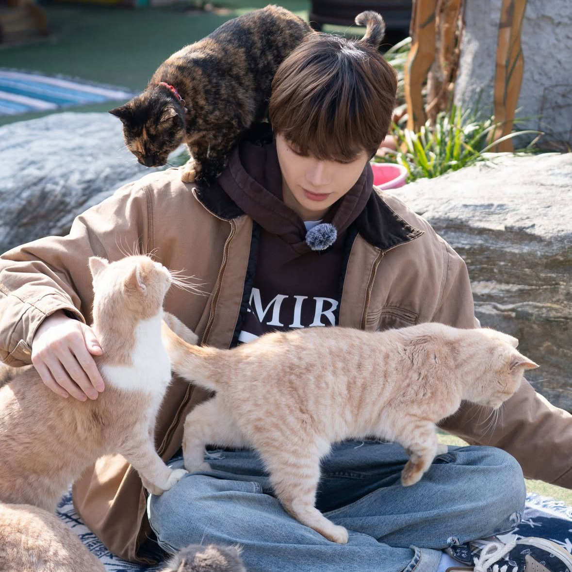 강다니엘 팬이 찍은 순간
