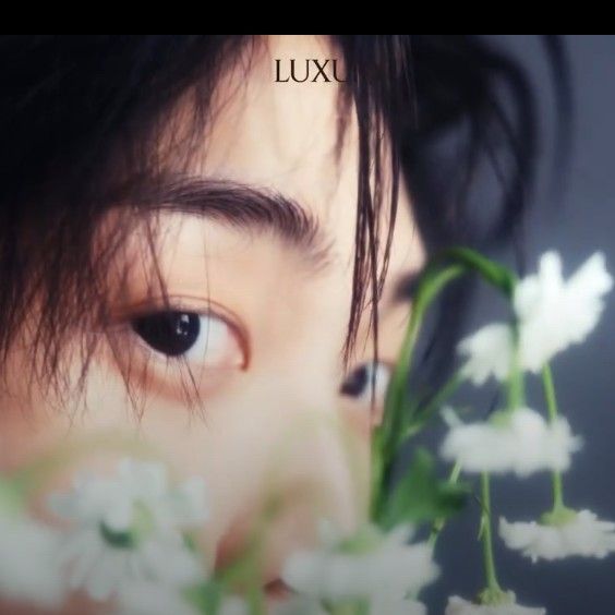 아스트로 최근 활동샷