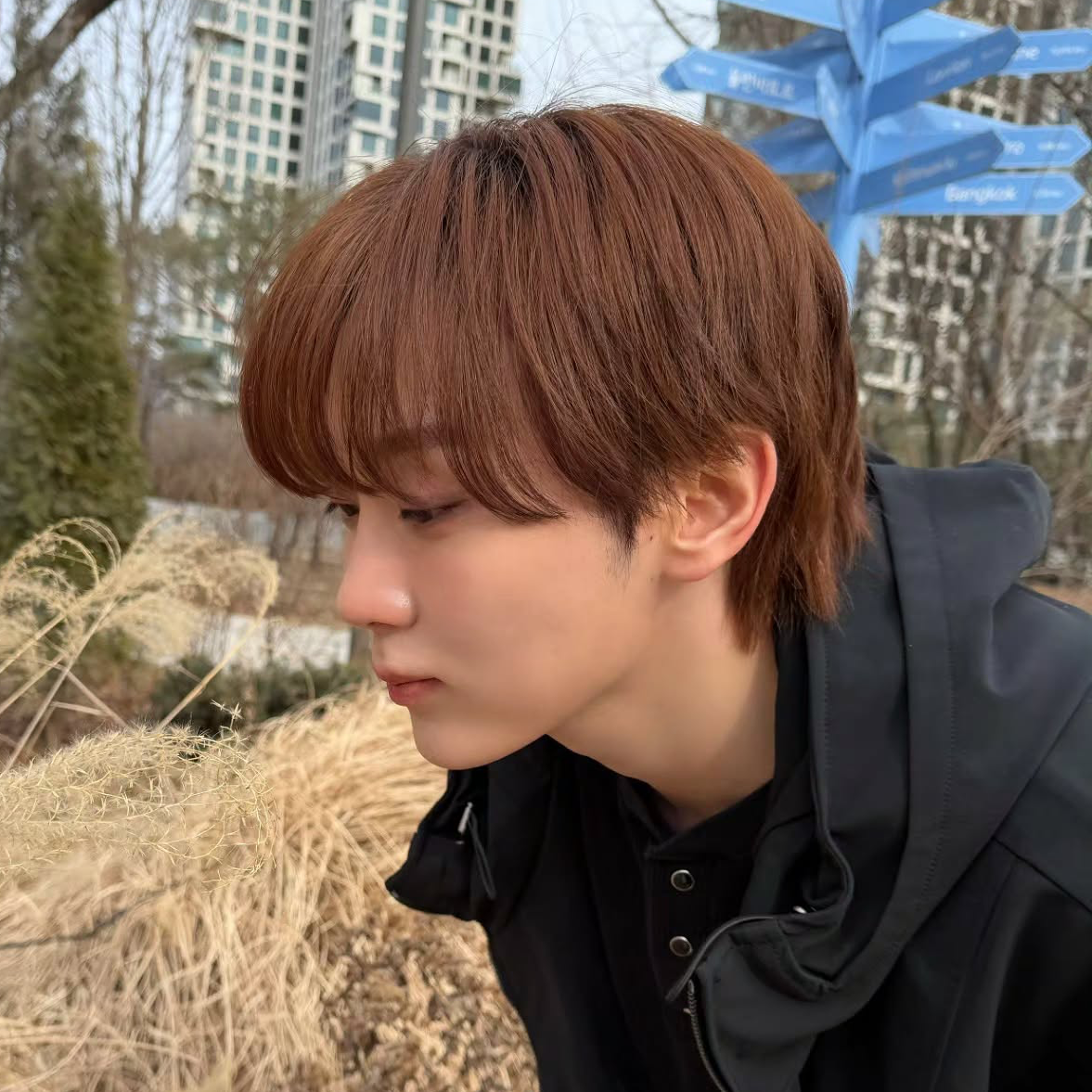 Recent activity shot of Seungkwan (SEVENTEEN)