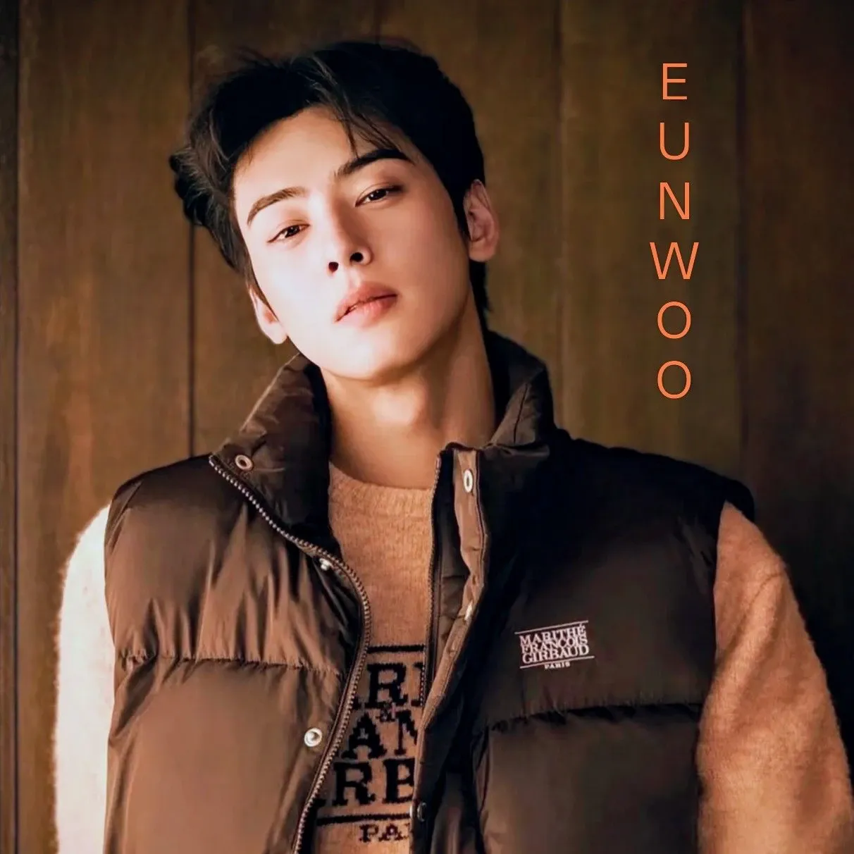 Momen yang diabadikan oleh penggemar ASTRO