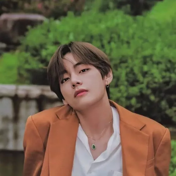 뷔 (방탄소년단) 팬이 찍은 순간