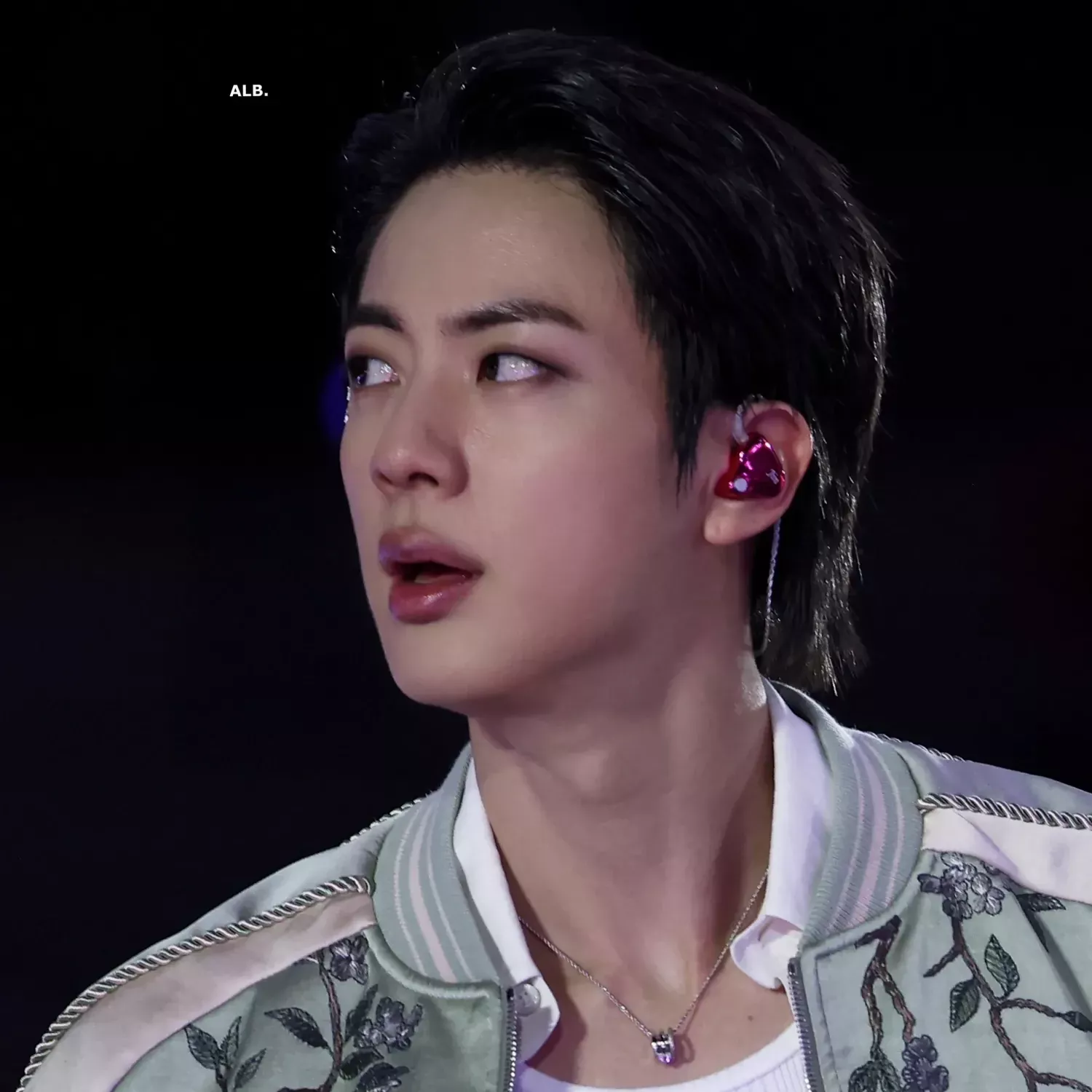 진 (방탄소년단) 팬이 찍은 순간