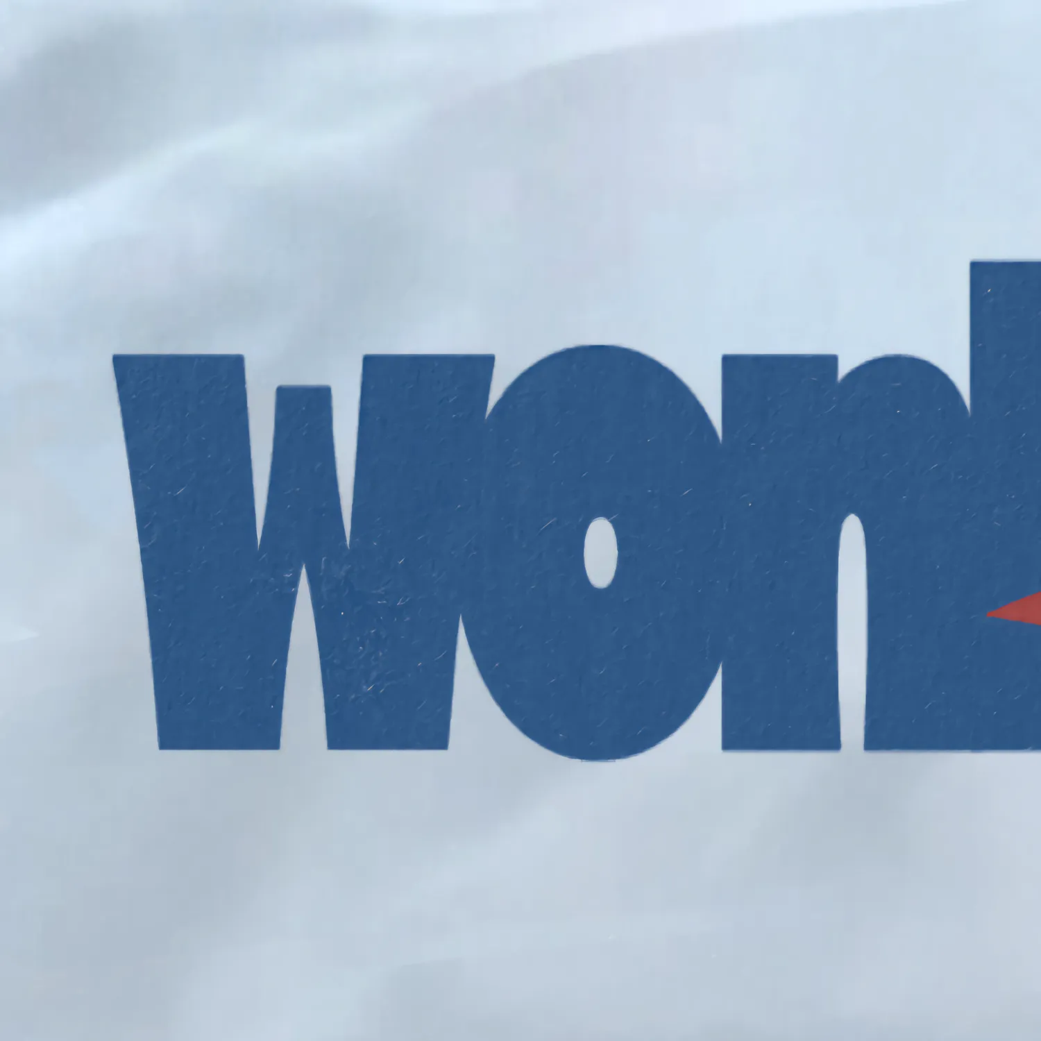 Momen yang diabadikan oleh penggemar Wonho