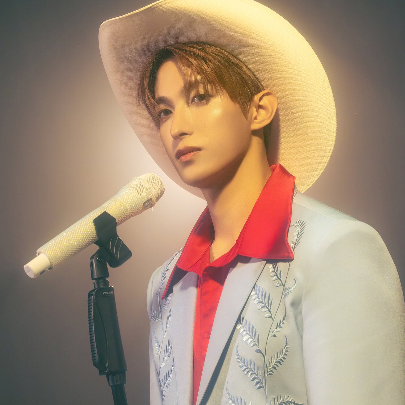 Momen yang diabadikan oleh penggemar DK (SEVENTEEN)