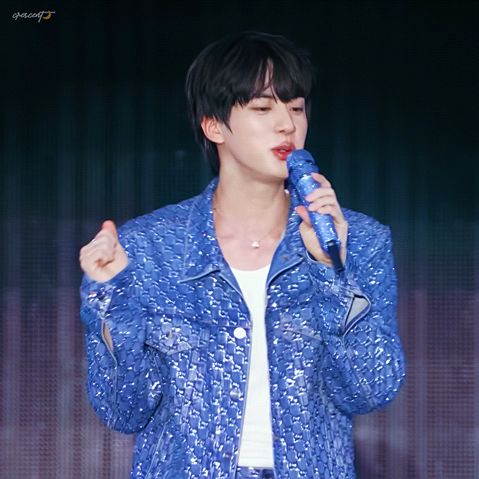 진 (방탄소년단) 팬이 찍은 순간