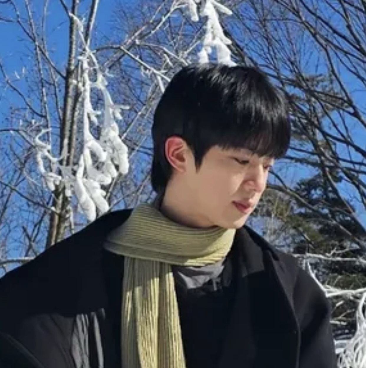 진 (방탄소년단)의 최신 사진