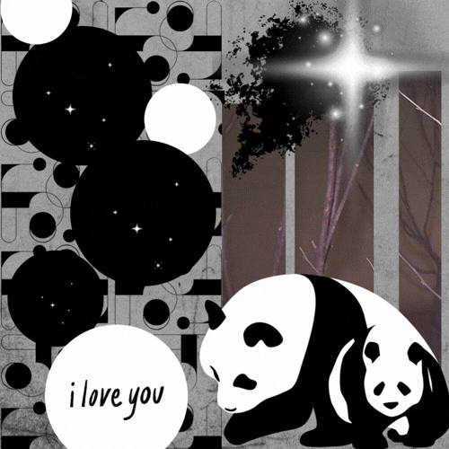 Recent activity shot of Dami (DREAMCATCHER)