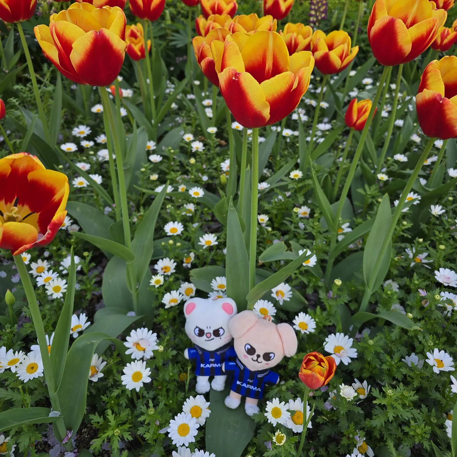 Stray Kids의 최신 사진