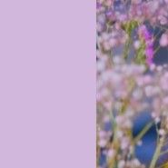 頌樂 (MAMAMOO)的最新活動照片