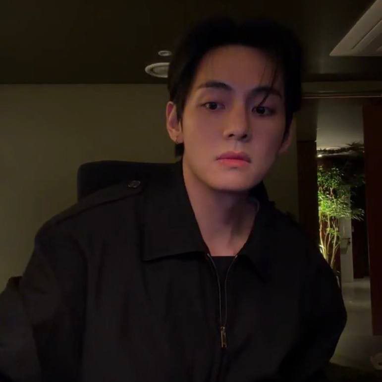 V (防彈少年團)粉絲拍下的瞬間