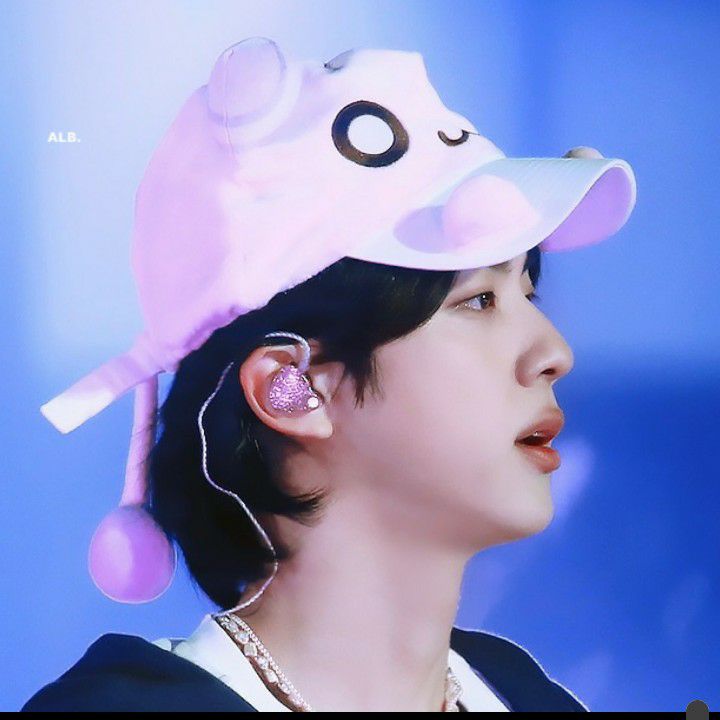 방탄소년단 팬이 찍은 순간