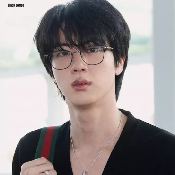 A moment captured by Jin (BTS)'s fan