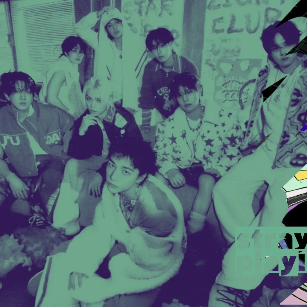 Stray Kids 팬이 찍은 순간