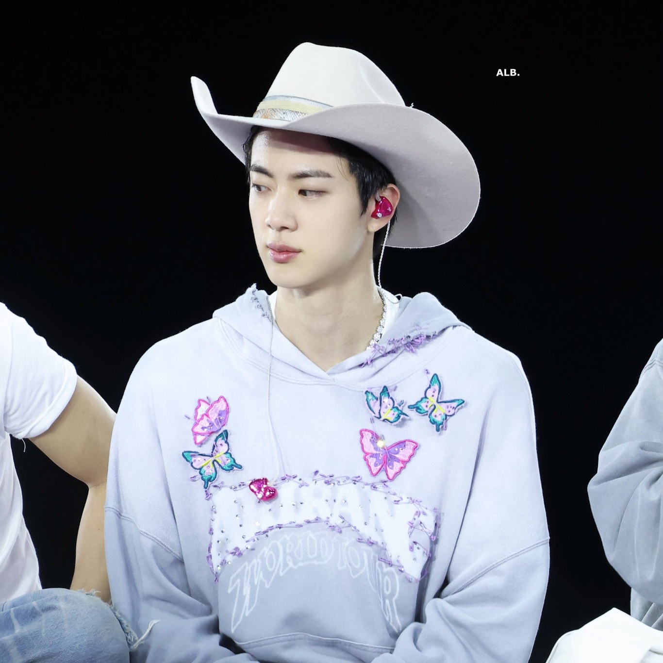 진 (방탄소년단) 팬이 찍은 순간