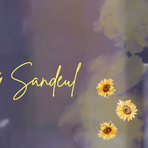 A moment captured by Sandeul (B1A4)'s fan