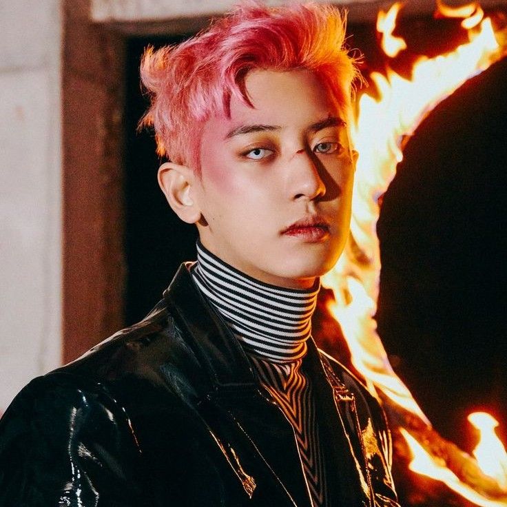 燦烈 (EXO)的最新活動照片