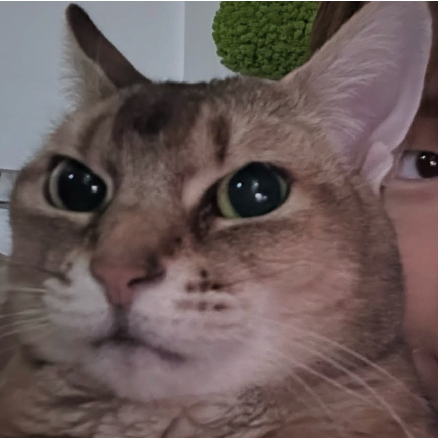 강다니엘의 비하인드 컷