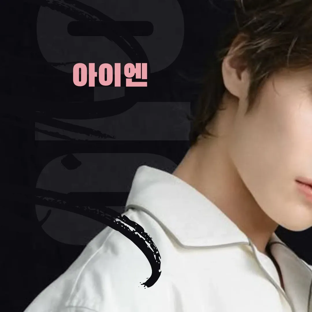 A moment captured by I.N (Stray Kids)'s fan