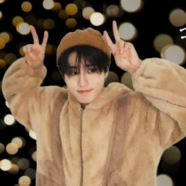 A moment captured by HAN (Stray Kids)'s fan