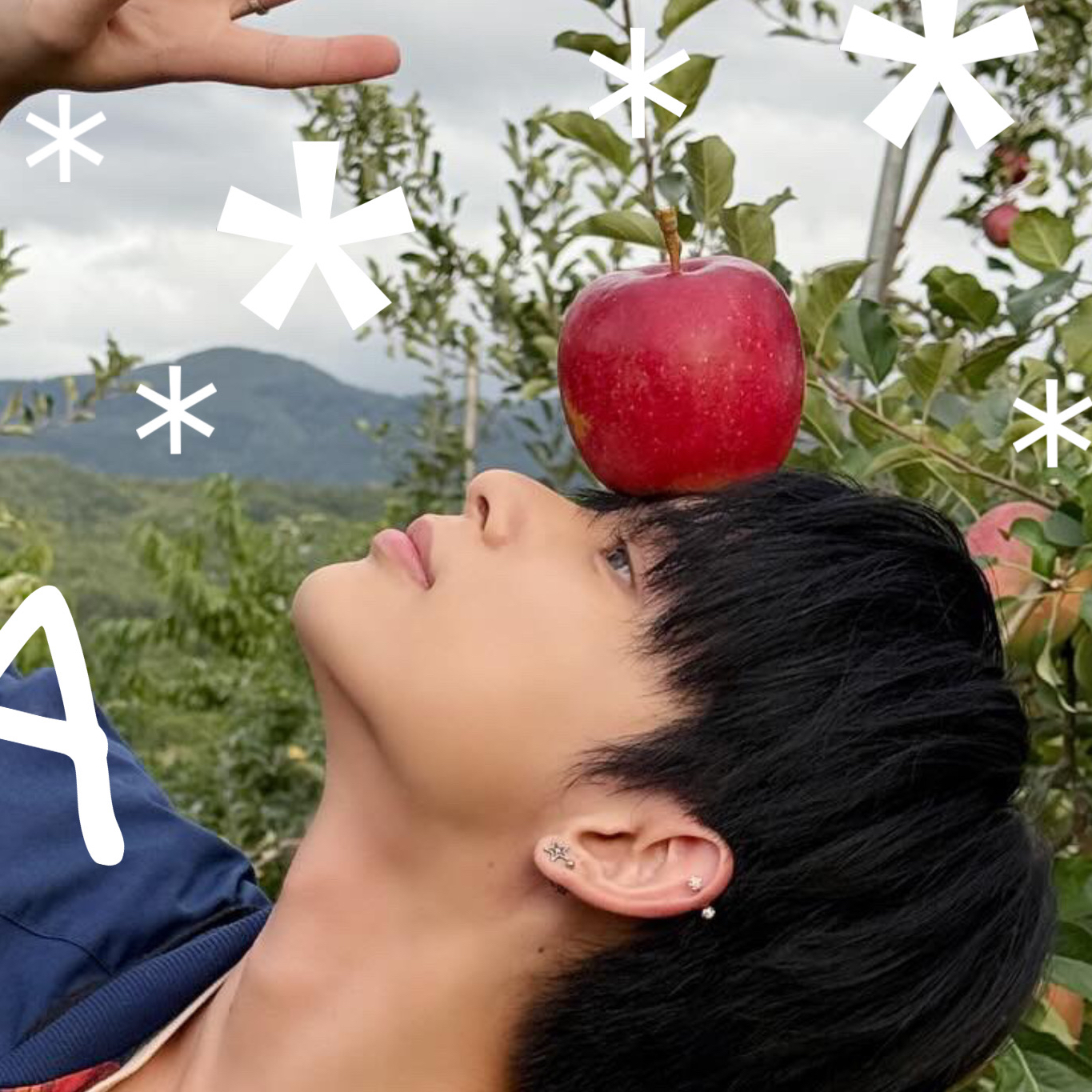 Harua (&TEAM)的最新照片