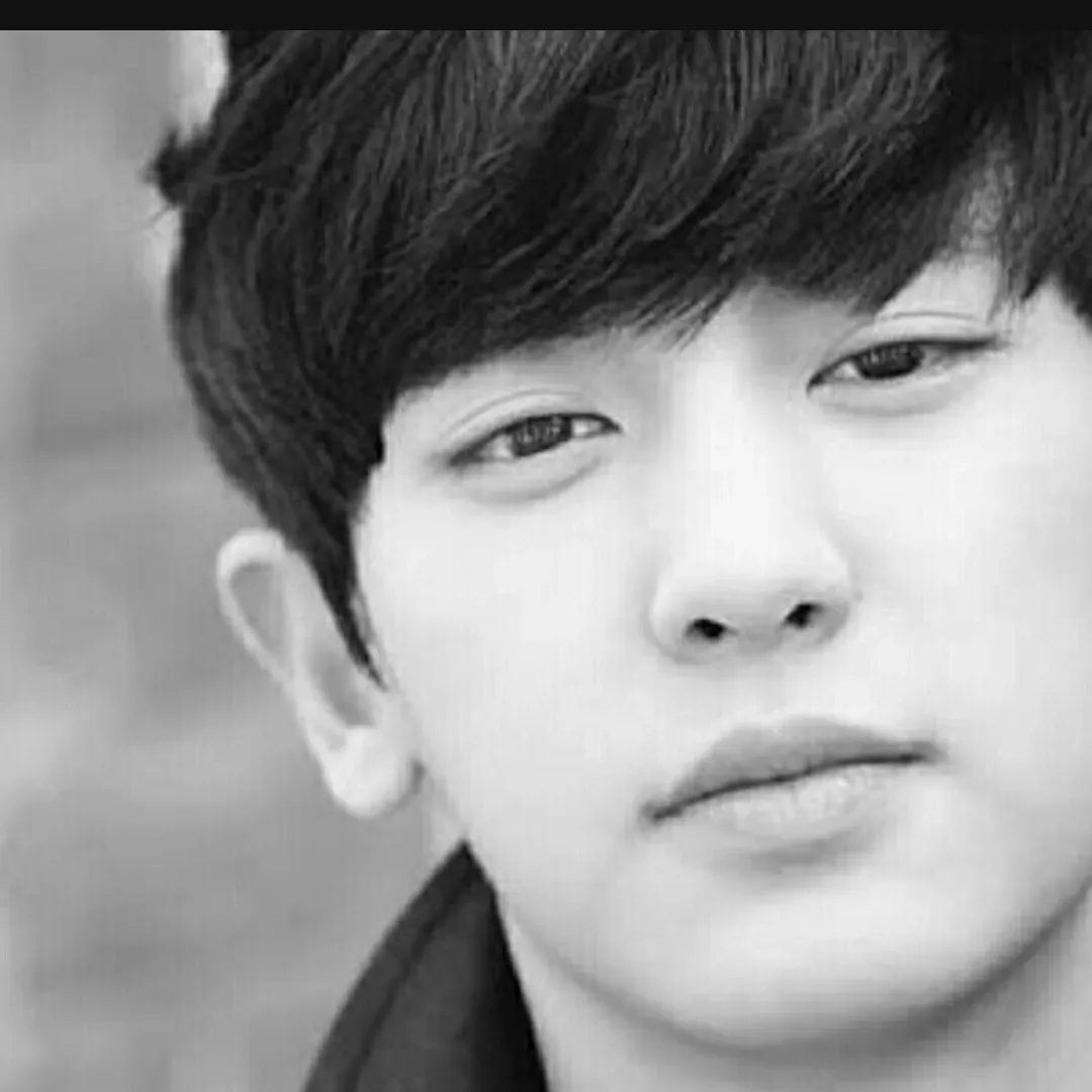 EXO 팬이 찍은 순간