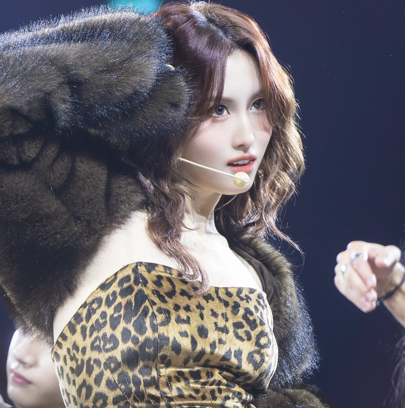 Recent activity shot of Momo (TWICE)