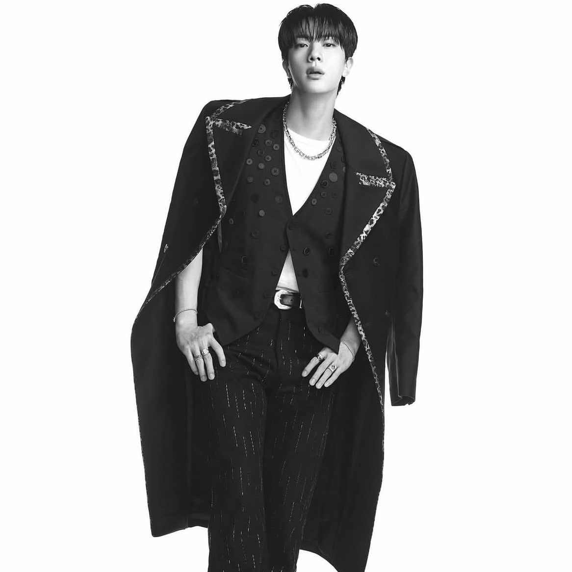 A moment captured by Jin (BTS)'s fan