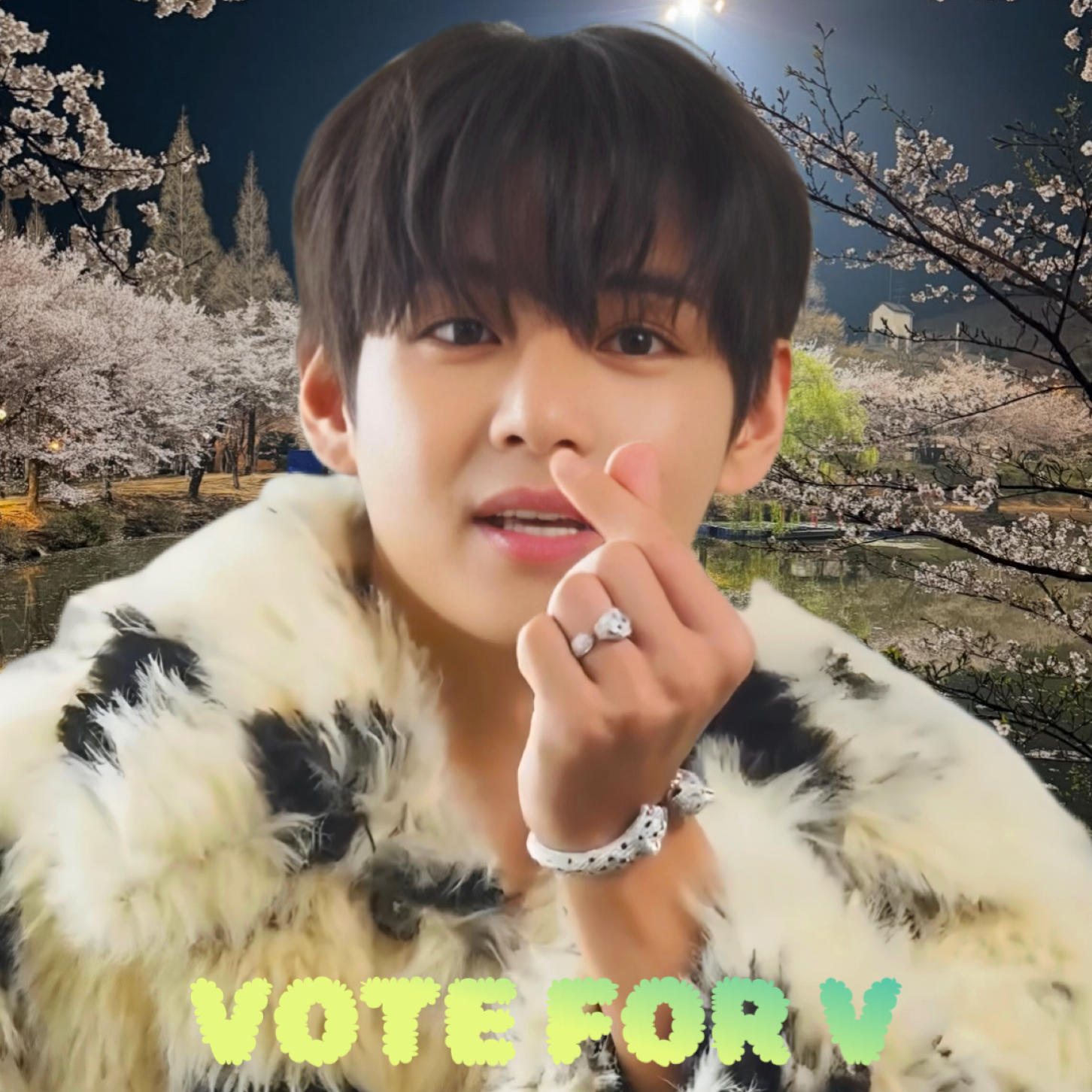 뷔 (방탄소년단) 팬이 찍은 순간