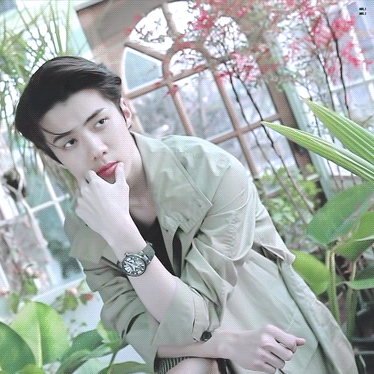세훈 (EXO) 최근 활동샷