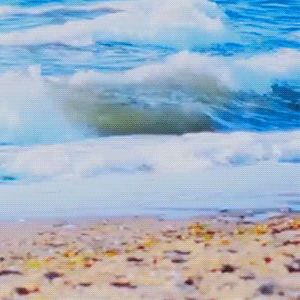 Recent activity shot of MONSTA X