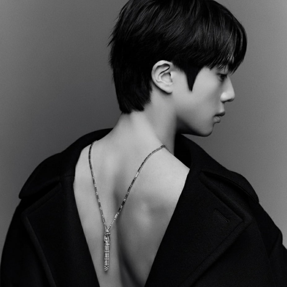 A moment captured by Jin (BTS)'s fan