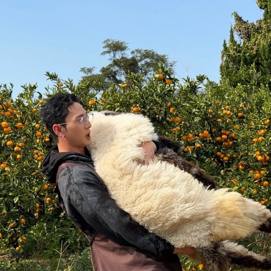 백호 팬이 찍은 순간