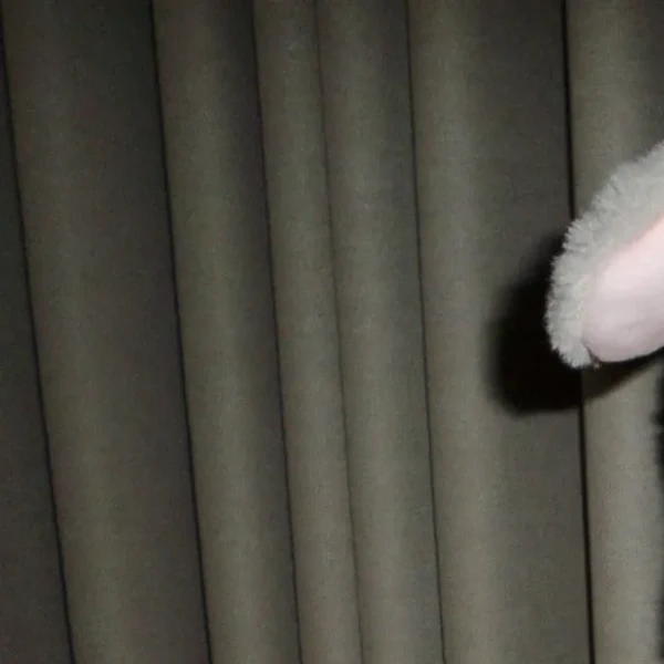 Best moment chosen by Stella (Hearts2Hearts) fandom