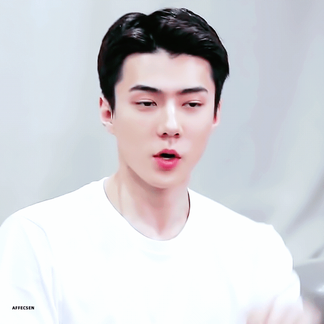 世勳 (EXO)的最新活動照片