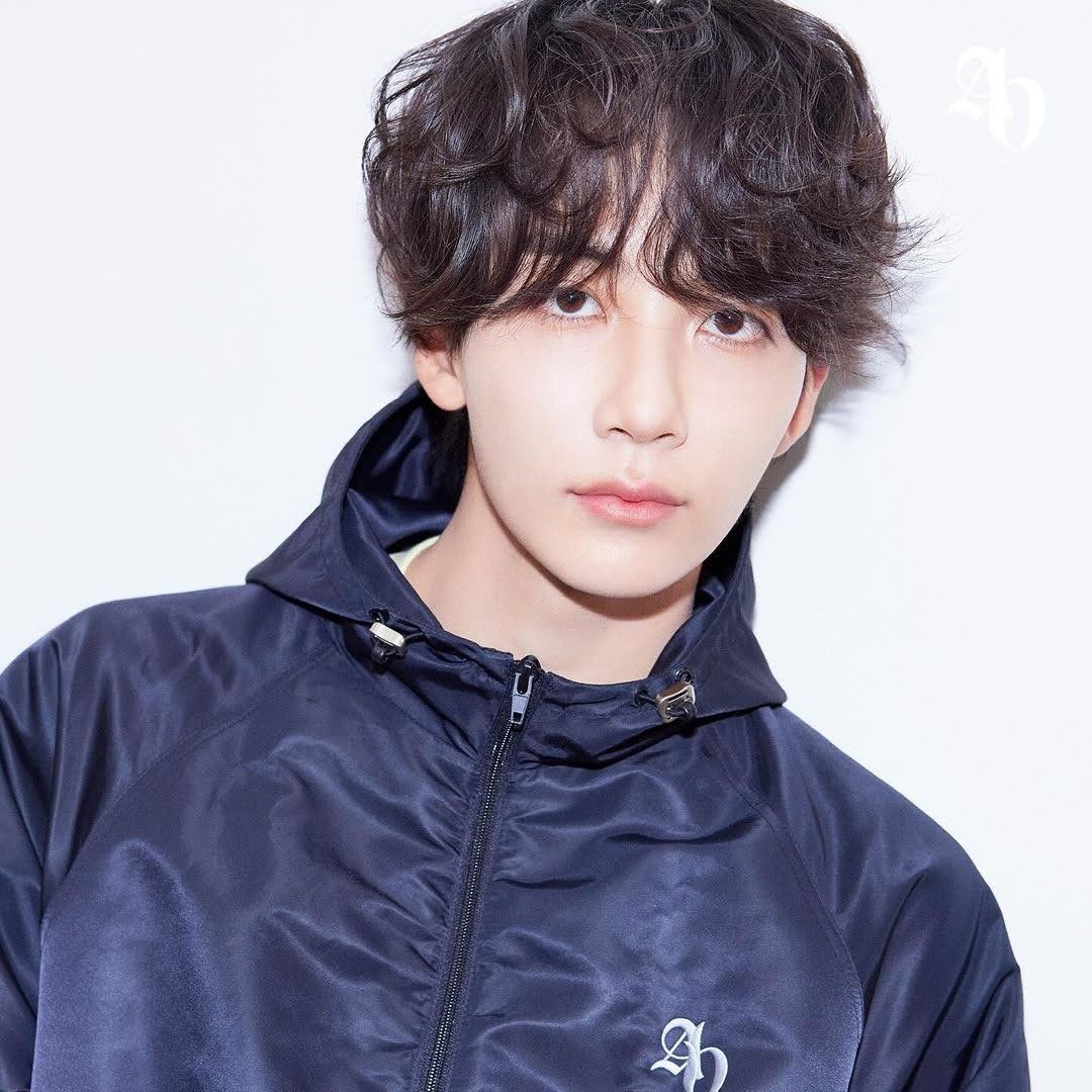 Foto terbaru SEVENTEEN