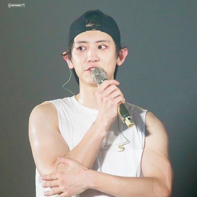 燦烈 (EXO)的最新照片