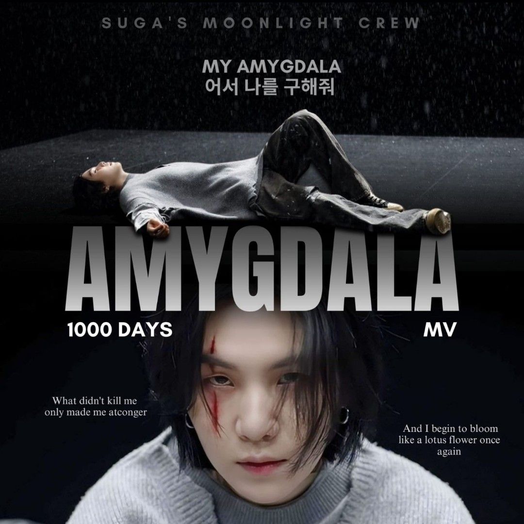 A moment captured by SUGA (BTS)'s fan