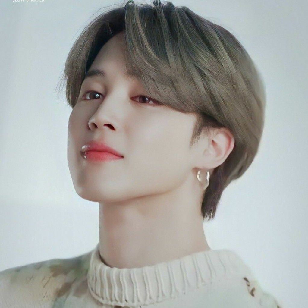 지민 (방탄소년단) 팬이 찍은 순간