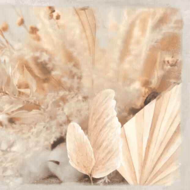 Latest photo of Nicholas (&TEAM)