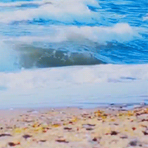 Latest photo of Joohoney (MONSTA X)