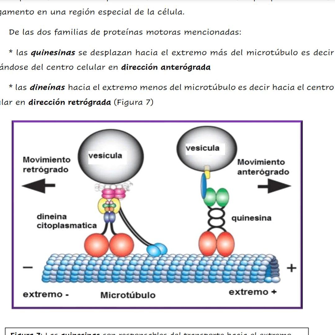 Potret di balik layar Wonho