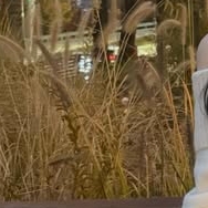 A moment captured by Kim Garam's fan