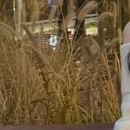 Shining profile picture of Kim Garam on today's Choeaedol