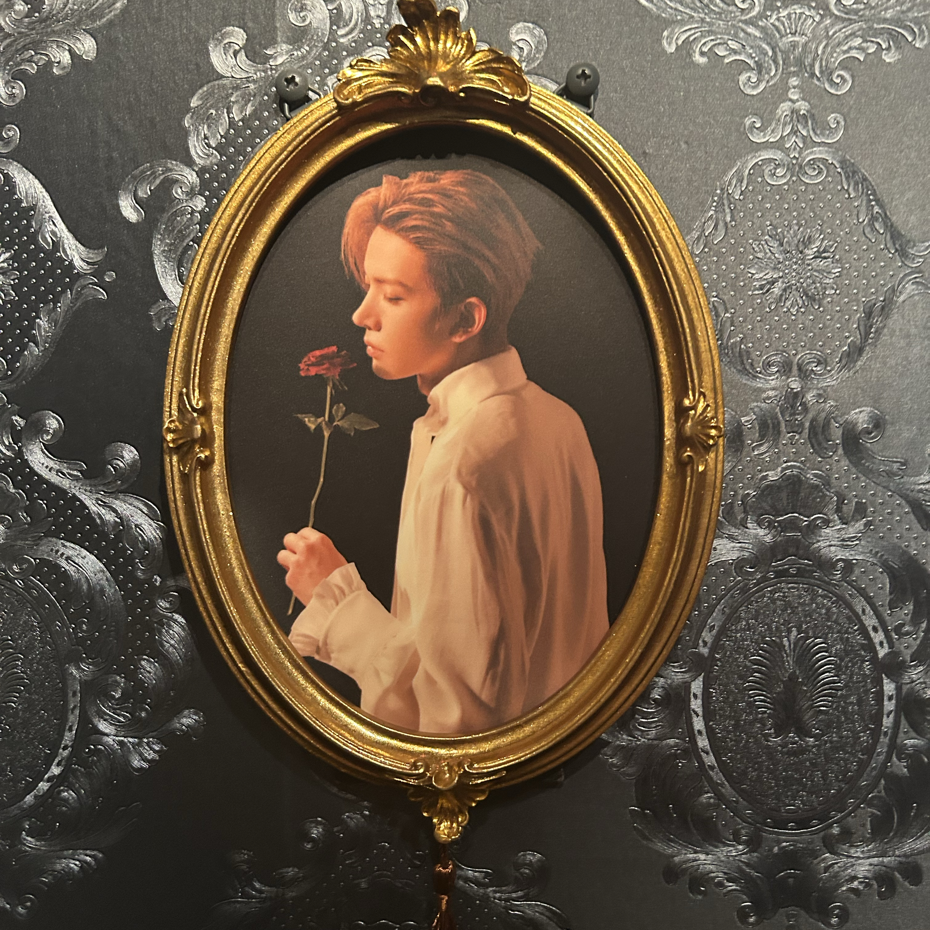 羲承的最新照片